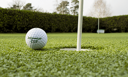 synthetic-turf-for-golf-fields.i4001-kE4hi3t-w409-h247-l2-c1-q80