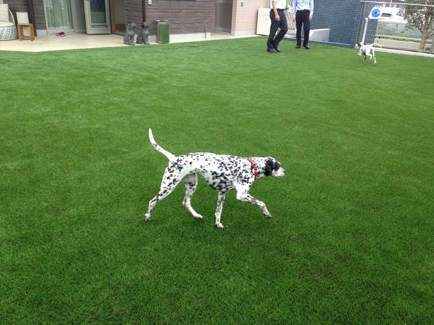 artificialturf 人工芝