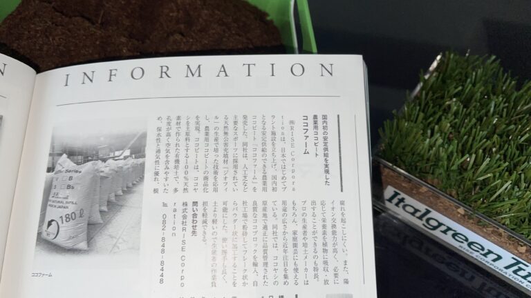 magazine 雑誌
