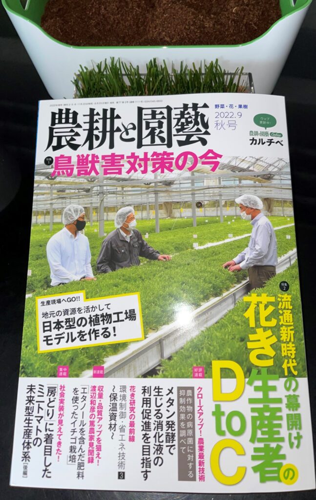 magazine 雑誌