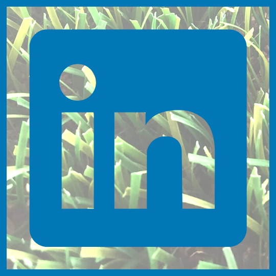 Linkedin リンクドイン