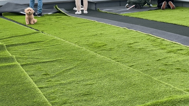 artificialturf 人工芝