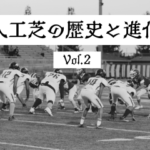 football アメリカンフットボール　人工芝のフィールドでアメフトをしている写真