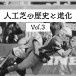 football アメリカンフットボール