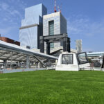 東京湾, クルージング, フェリー, 人工芝