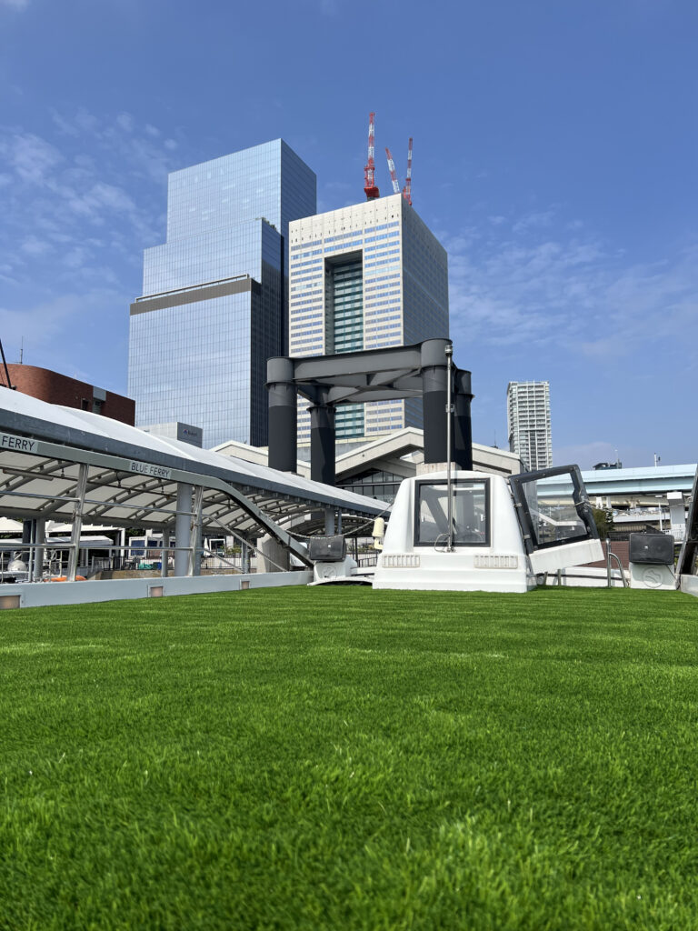 東京湾, クルージング, フェリー, 人工芝