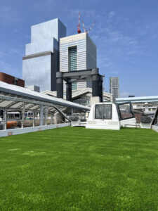 東京湾, フェリー, 人工芝