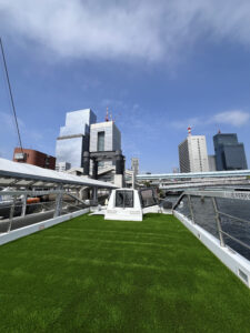 東京湾, フェリー, 人工芝