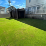 lawn, yard, garden, 庭, 人工芝, Geofill, ジオフィル